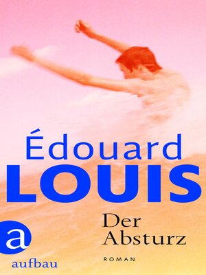 cover image of Der Absturz
